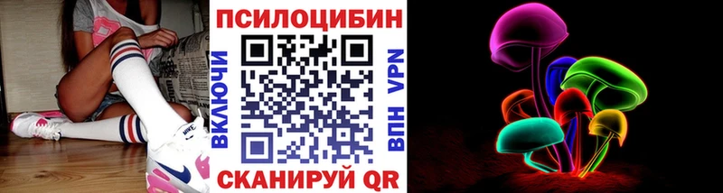 купить наркотик  KRAKEN ТОР  Псилоцибиновые грибы мухоморы  Новосокольники 